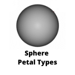 sphere petal layout calculator